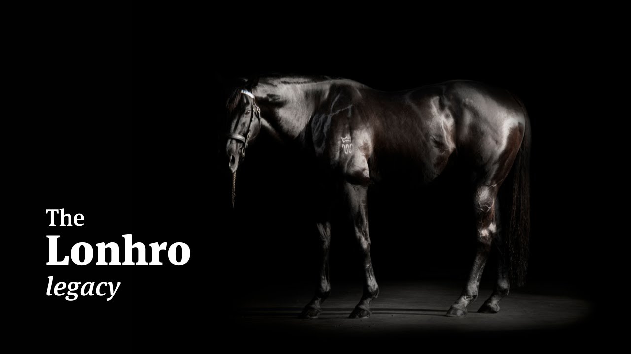 Lonhro retired from stallion duties