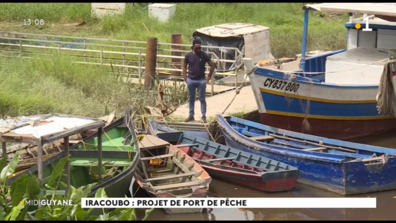 Iracoubo : projet de port de p&ecirc;che