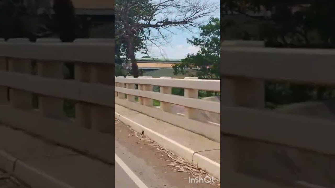 Traveling to CENTRAL MINDANAO UNIVERSITY PASS BY