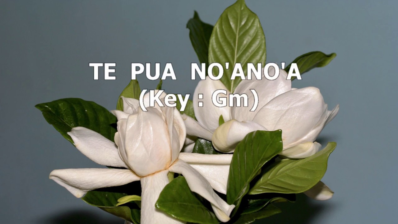 TE PUA NO'ANO'A - KARAOKE