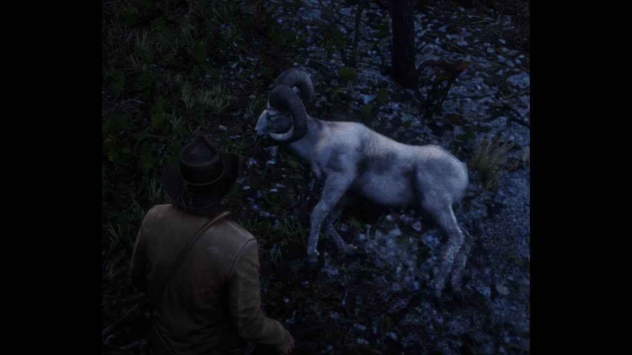 Red Dead Redemption 2 -  Tentando Caçar O Carneiro Lendário