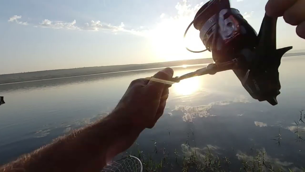 Егорлыкское водохранилище 1.08.22