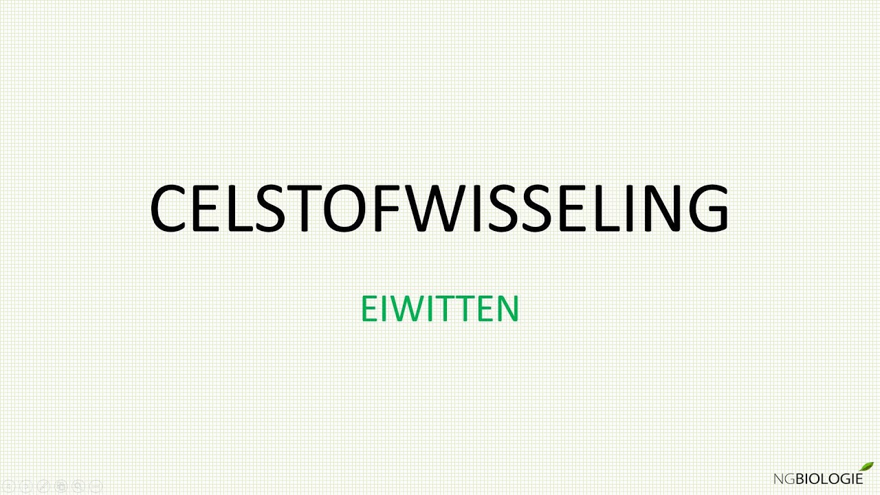 Eiwitten
