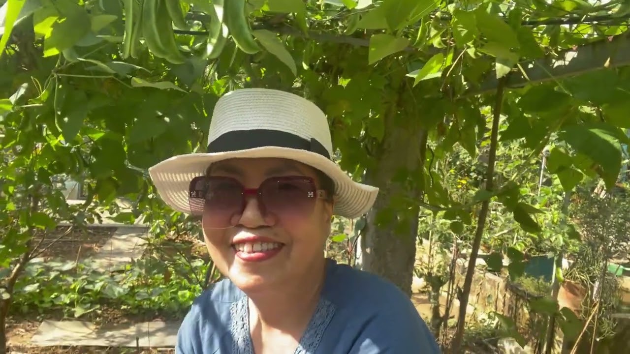 Hoa nở - Đón Tết Bính Ngọ 2026.