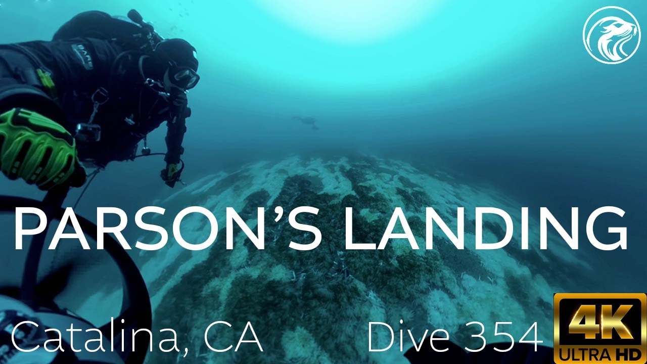SCUBA DPV Diving Parson's Landing - Catalina Island, CA 2025 - 4k