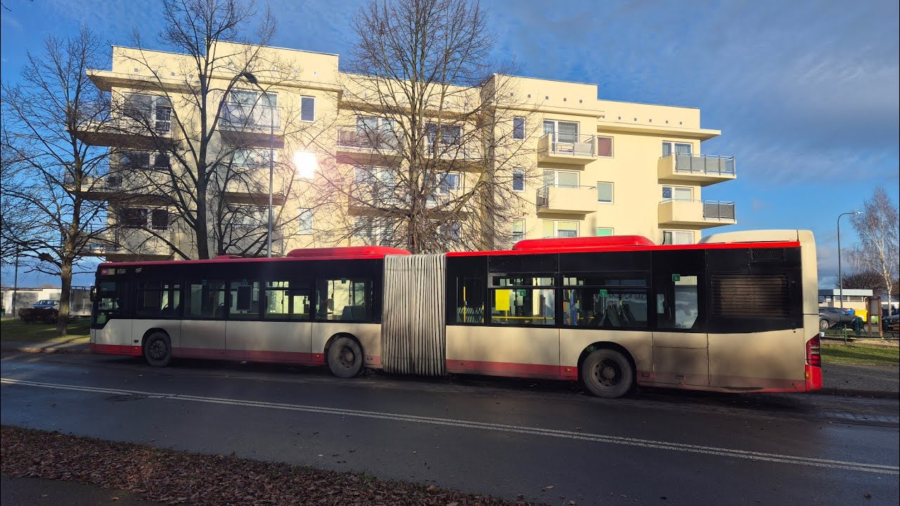 [BP Tour o. Gdańsk] Mercedes-Benz Conecto G #8501 - linia 205, kierunek Pruszcz Gdański Komarowo