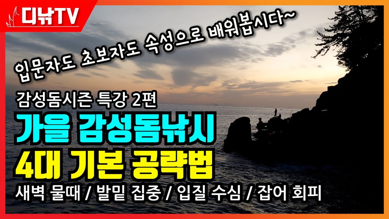 속성! 가을 감성돔낚시 4대 기본 공략법 (새벽 물때, 발밑 집중, 입질 수심, 잡어 회피) - 감성돔시즌 특강 2편 [디낚TV 낚시공부방]