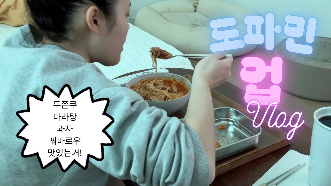 청소하는 작가 Vlog 15 | -0.2kg 빼고 요요현상 온 사람ㅋㅋㅋ 도파민에 절여진 식습관 공개!