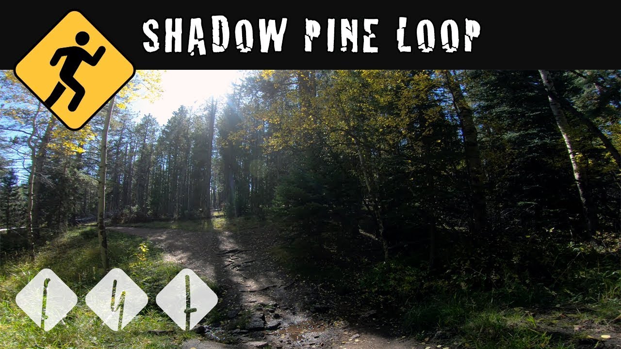 Virtual Treadmill Run - Shadow Pine Loop Trail Run in Conifer Colorado