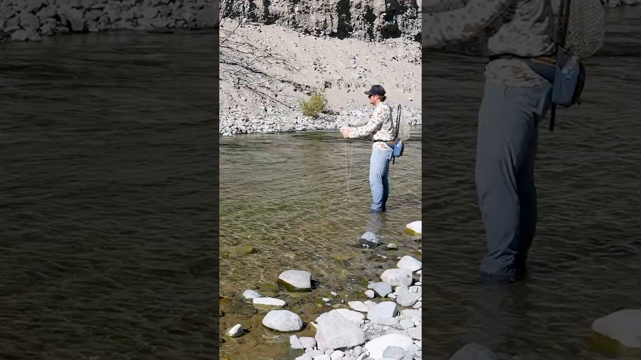 The BEST Fly Fishing Rig Ever Invented!