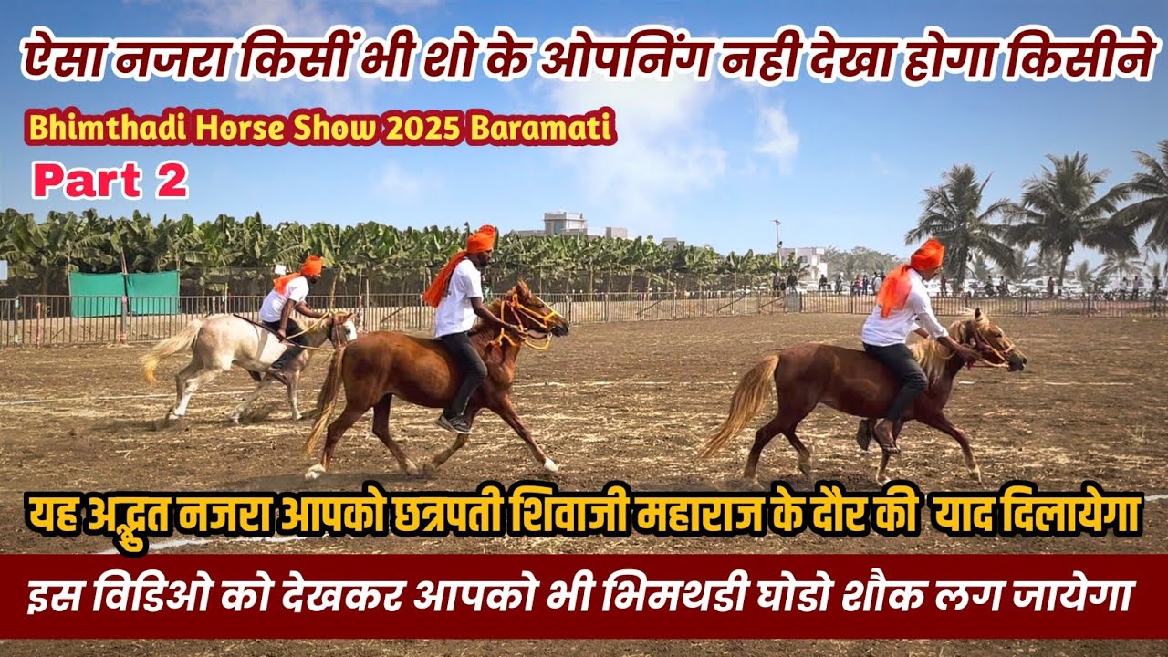 रिंग के शुरुवात मे भिमथडी घोडीयो मे दिखाया अपना जलवा । भिमथडी अश्व प्रदर्शन | Bhimthadi Horse Show