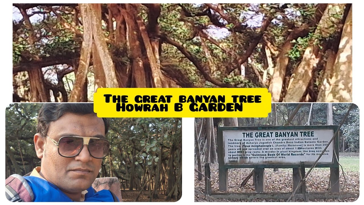 THE OLDEST BANYAN TREE OF ASIA AT HOWRAH BOTANICAL GARDEN 