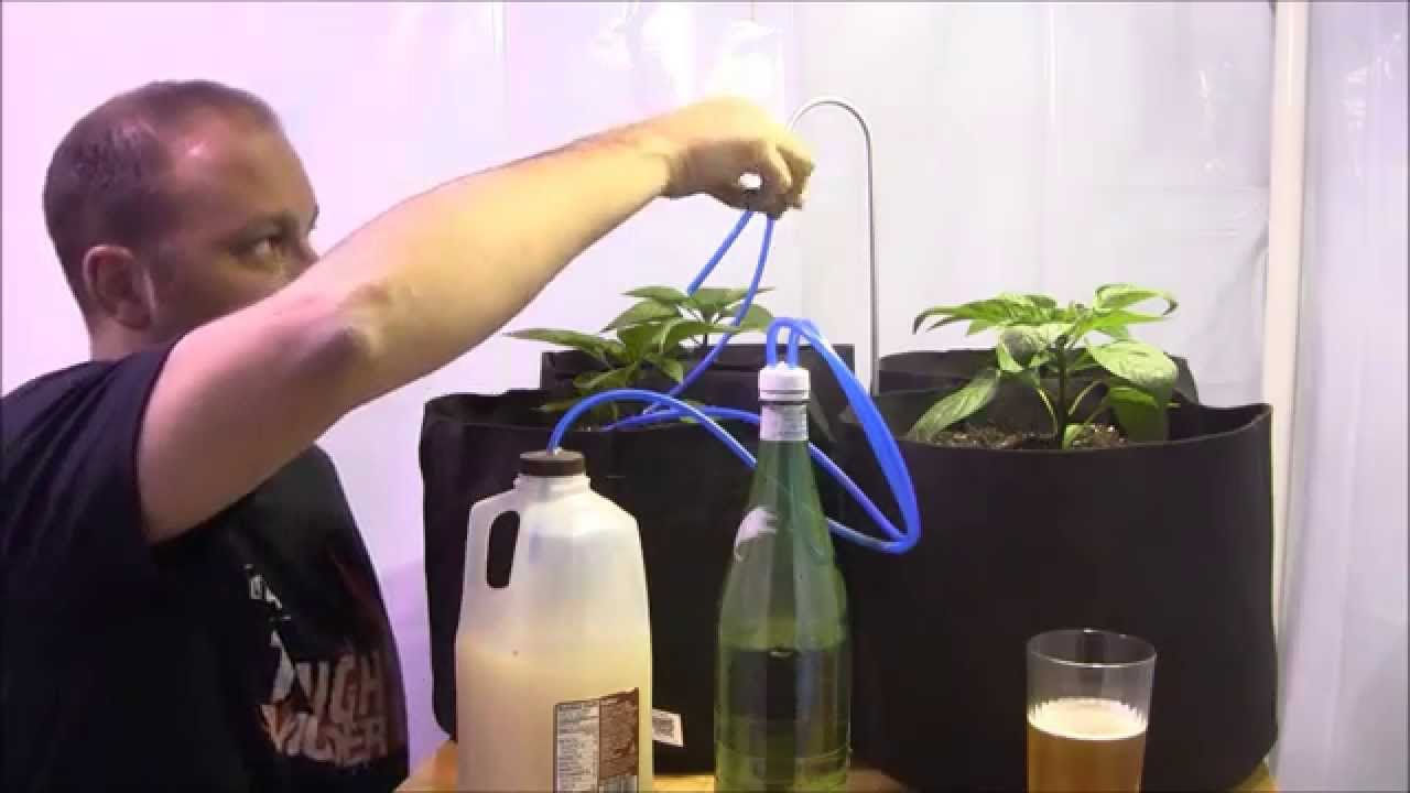 Natural CO2 Enrichment - Trash Into Treasure - S2 Episode 5