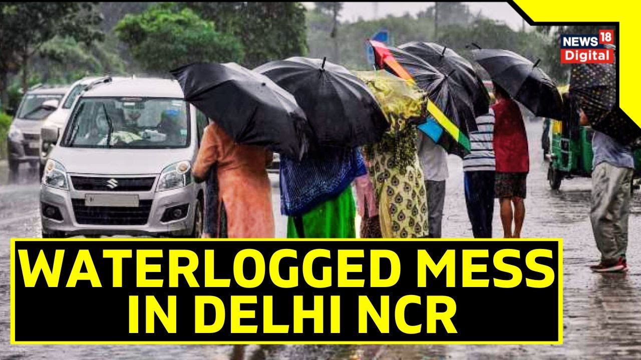 Noida Rain | Delhi Rain Today: Deluge Hits Delhi and Noida; Waterlogged Roads Force School Closures