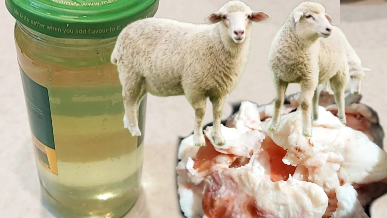 Sheep tail oil / Make your own delicious sheep tail oil / Sheep tail