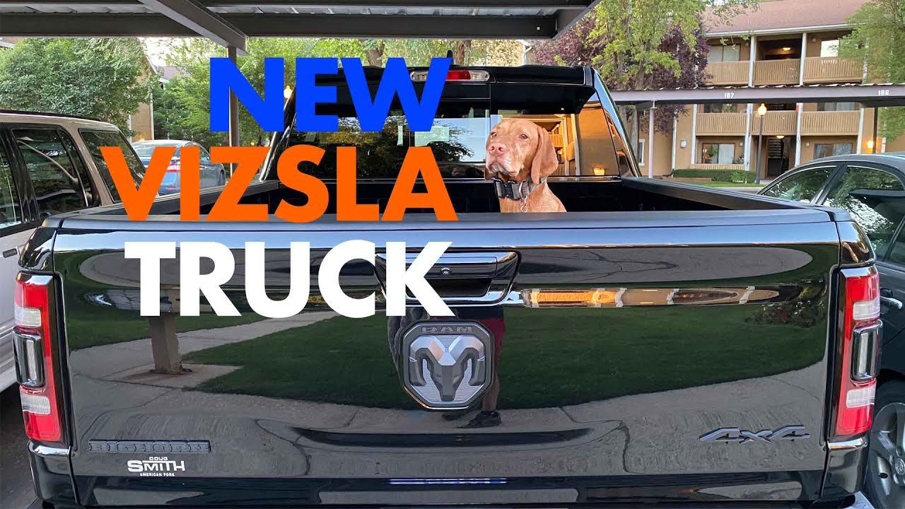 New 2020 Ram Truck For My Vizsla and I | Video 128