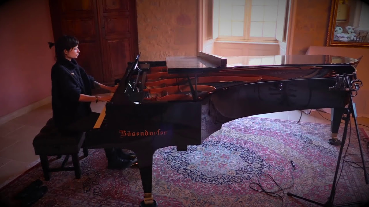 Nine Inch Nails - And All That Could Have Been on Bösendorfer Imperial | Vkgoeswild piano cover