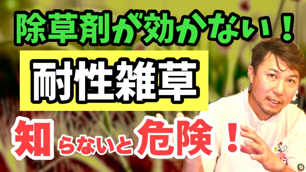 除草剤が効かない！？耐性雑草の真実と未来の対策