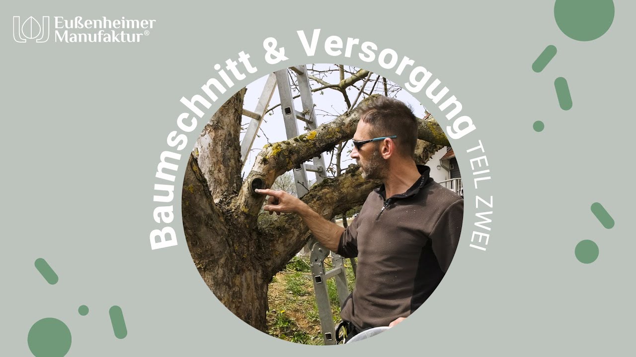 🌳 Baumschnitt & Versorgung - TEIL 2 Baumanstrich selbst herstellen & Pilzbefall verhindern