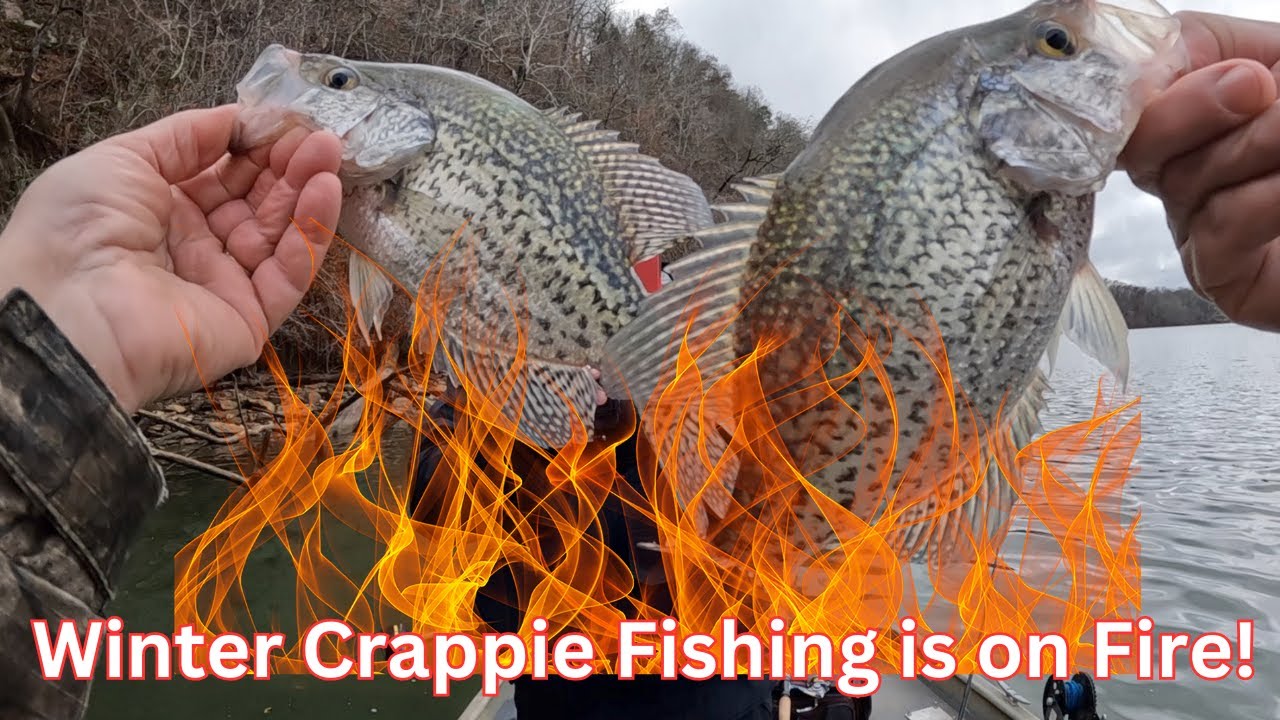 How to catch Winter Crappie:  Simple & Easy #fishing ,#crappiefishing