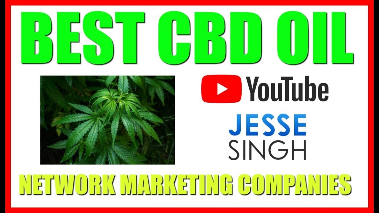 Best CBD Oil Network Marketing Companies | Which Has The TOP CBD Oil Products?