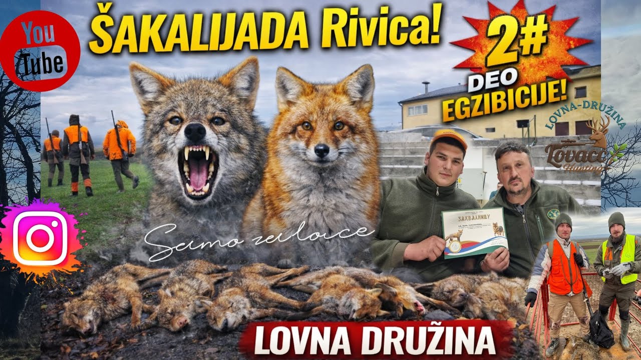 Ovo je šakalijada u Rivici!💥🌿 Nastavljamo druženja po Srbiji 🌿 Putašestvija br. 2🌿@lovnadruzina 