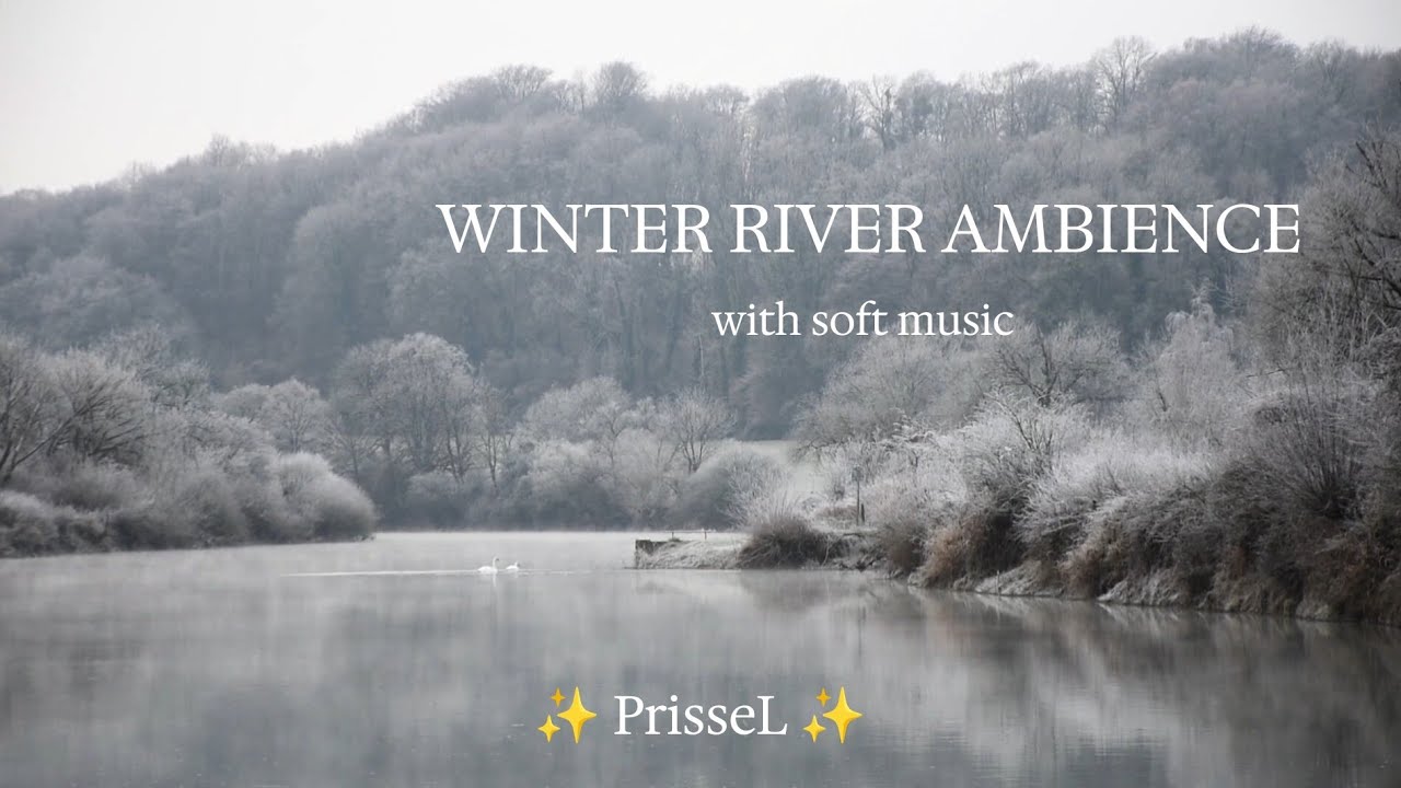 ✨ 🎵🦢 Winter River with Swan SOFT PIANO MUSIC Relaxing Nature Ambience study Reading sleeping ✨