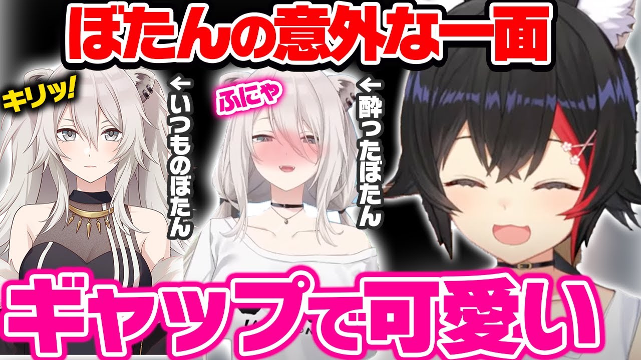 酔っぱらってしまい獅白ぼたんの普段では想像できない意外な一面にギャップ萌えを感じる大神ミオ【ホロライブ 切り抜き/獅白ぼたん/大神ミオ】