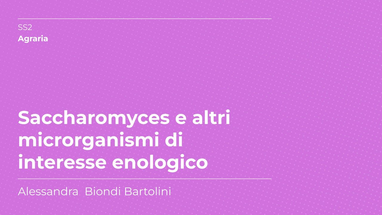 Saccharomyces e altri microrganismi | Alessandra Biondi Bartolini