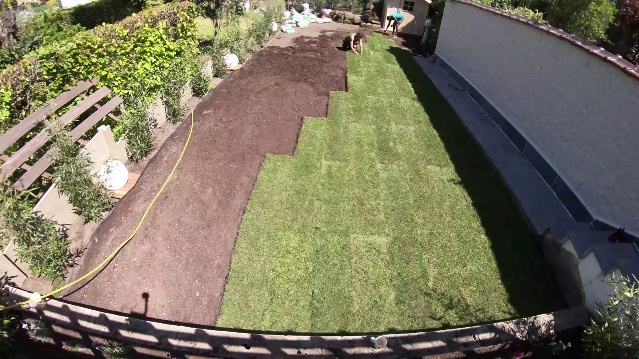 Time lapse 4k Gazon en Rouleau