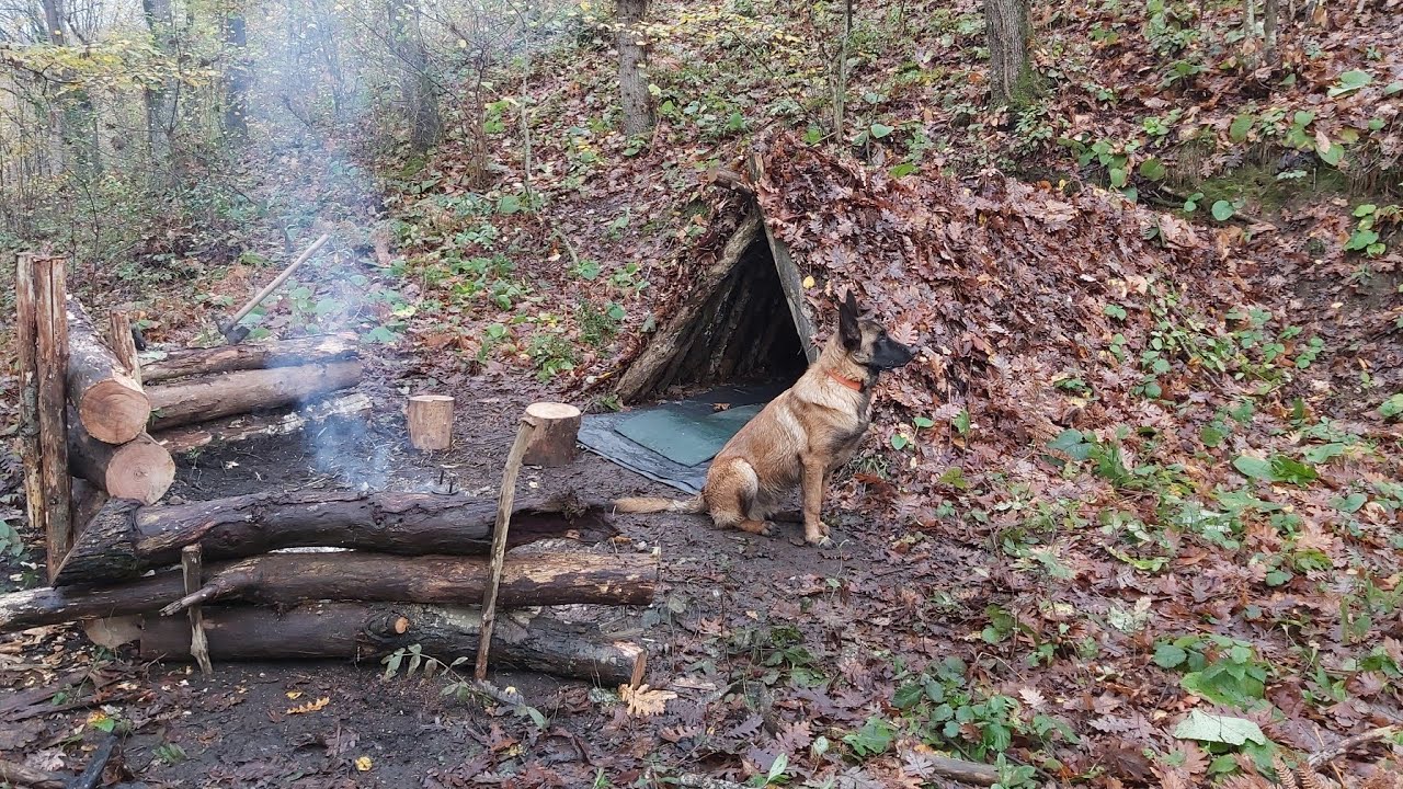 Solo Winter Bushcraft Camp, Campfire Cooking, Making a Slingshot, Off Grid, wilderness camping