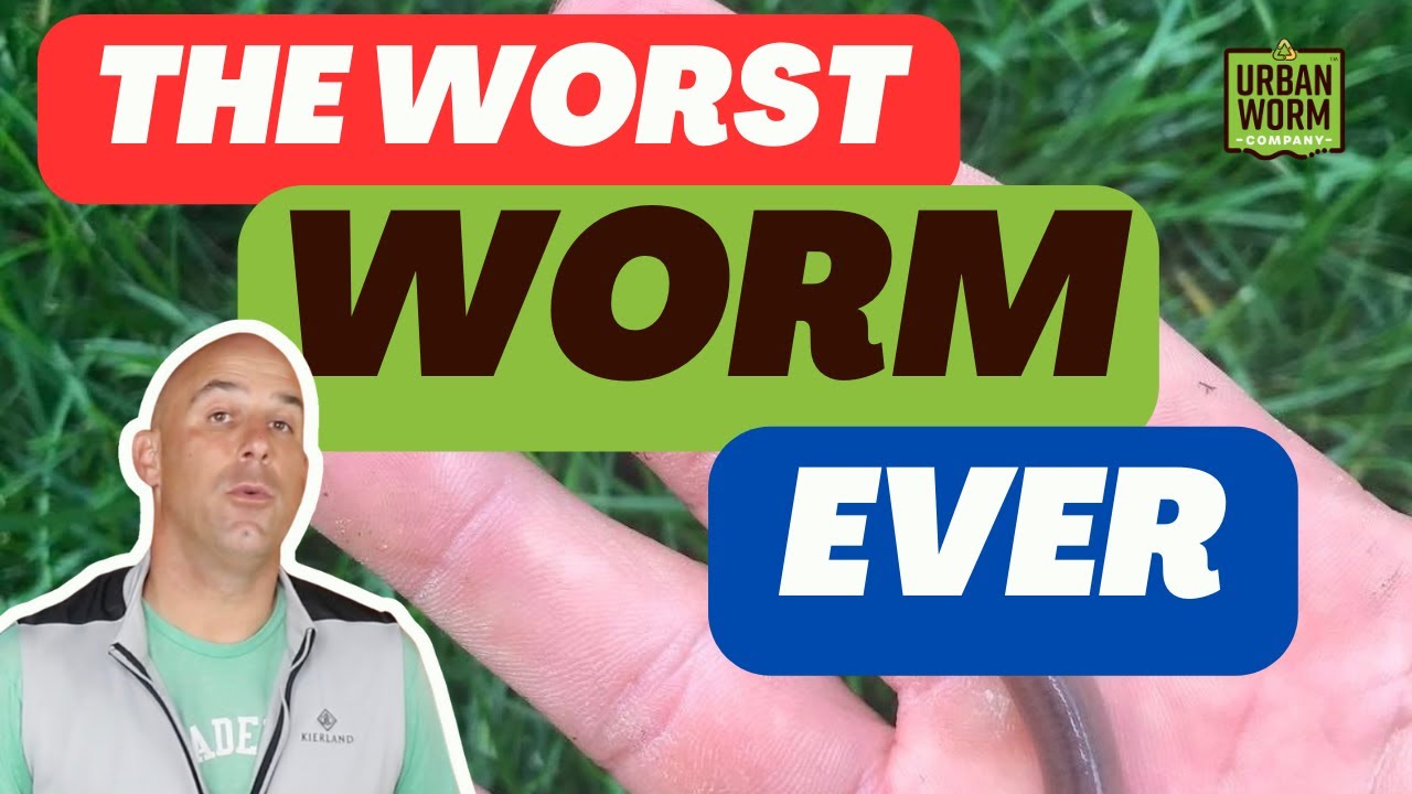The Invasive Forest-Destroying Earthworm: What To Do About the Asian Jumping Worm