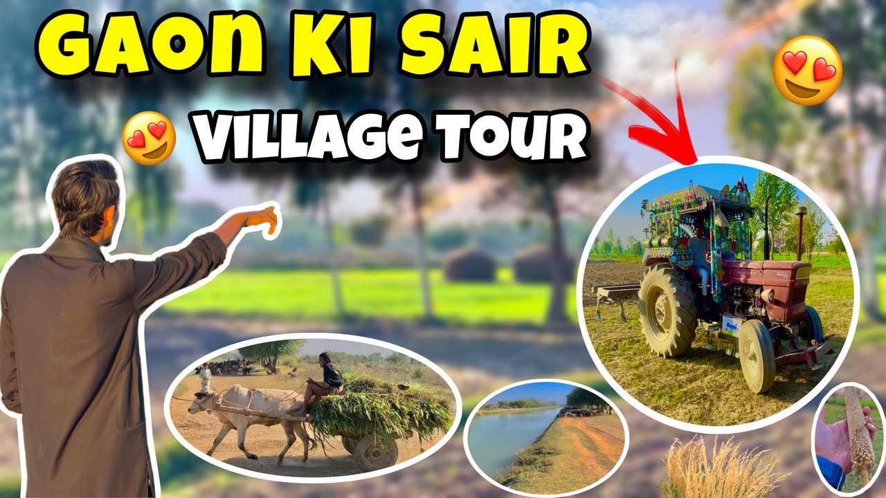 Village Life in Mianwali 🌾 | Tibbi Village Punjab | Green Fields & Village Life In Pakistan 2025