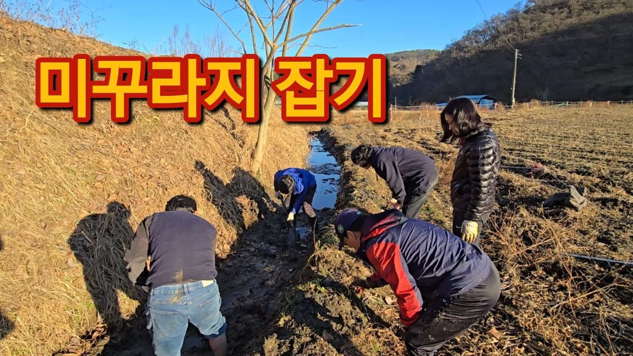 🔹 미꾸라지 잡기 체험        • 공주 소랭이마을에서     • 농촌에서 미리 살아보기     • 25.11.28.금     • 소랭이활성화센터