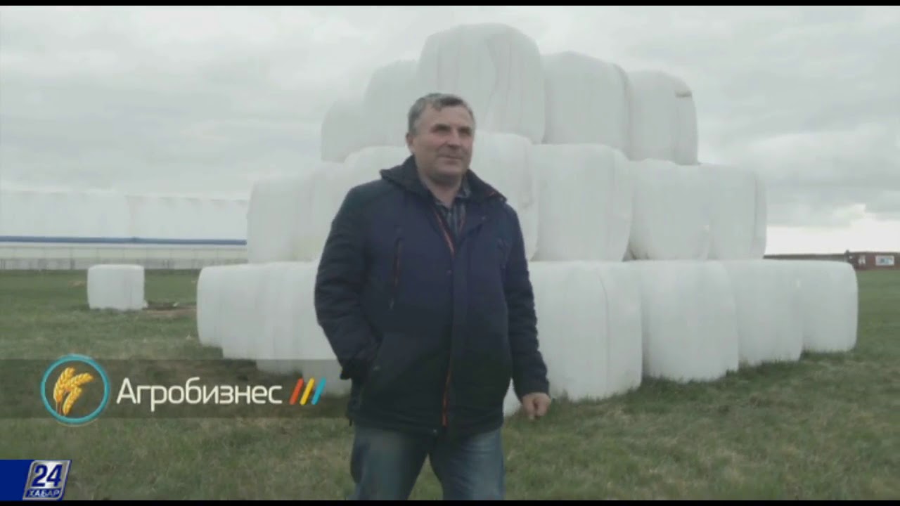 Что мешает казахстанцам пить молоко отечественного производства?