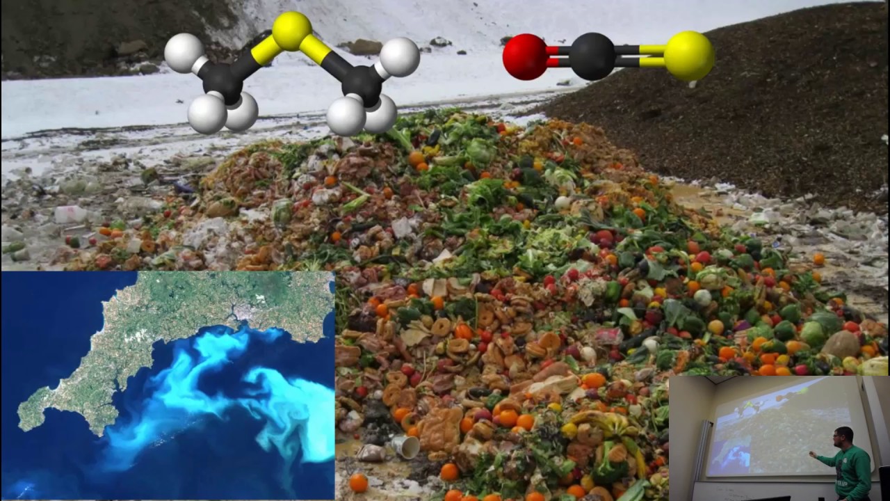 Sulfur in the climate system
