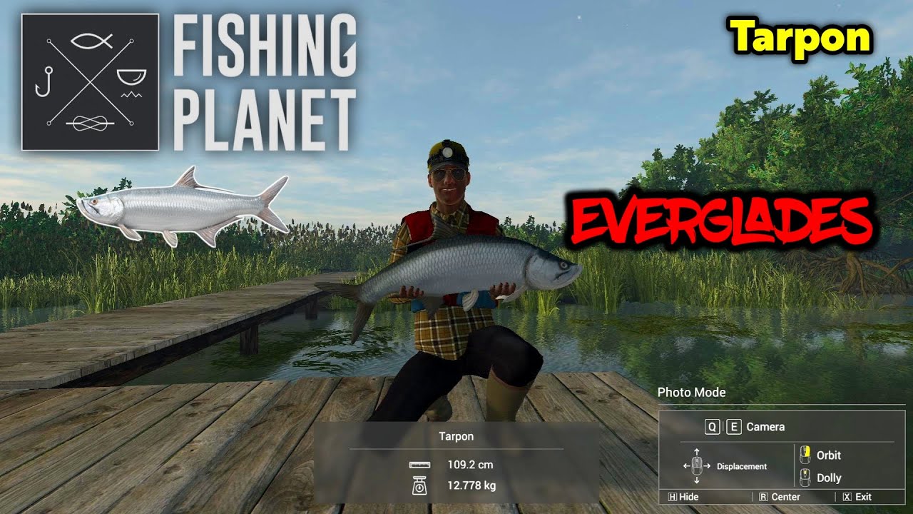 Tarpon Everglades - Fishing Planet
