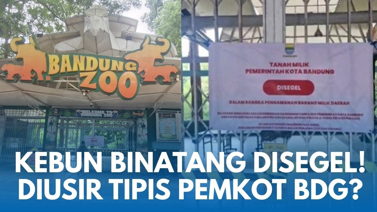 PROTES! PENGELOLA KEBUN BINATANG BANDUNG 'DIUSIR TIPIS-TIPIS'! Bandung Zoo Disegel Satpol