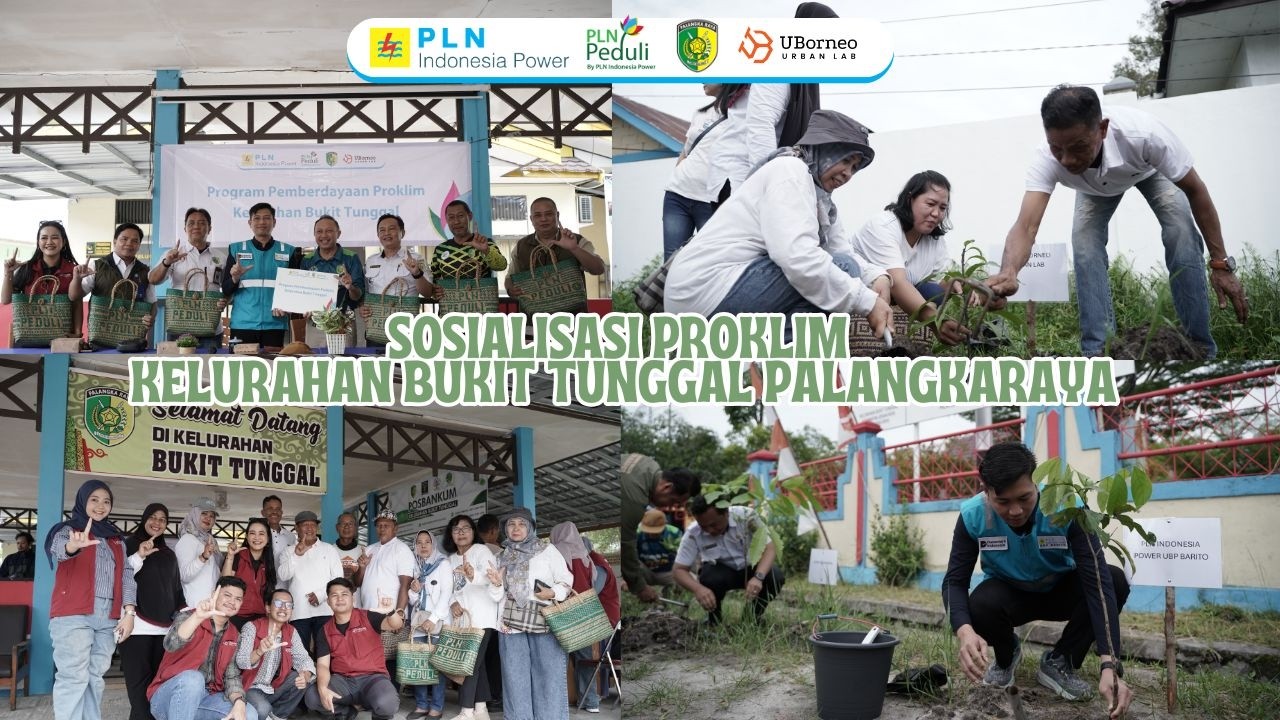 Program CSR Pengembangan Proklim Bukit Tunggal PLN Indonesia Power UBP Barito