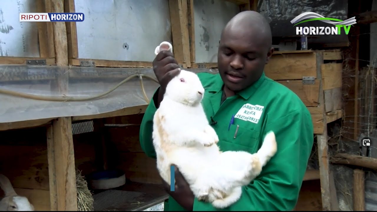Ufugaji Wa Sungura | Ripoti Horizon | HorizonTV Kenya