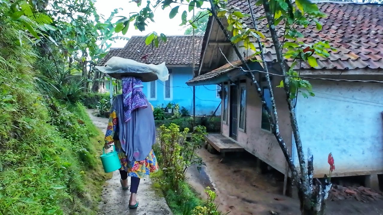 Suasana Pagi Di Kampung Yang Tenang, Setelah Hujan Mengguyur Kampung Yang Indah, Pedesaan Jawa Barat