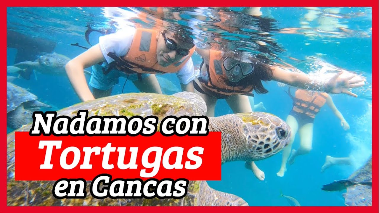 🐢 NADAMOS CON TORTUGAS 🐢 En Cancas - Canoas de Punta Sal