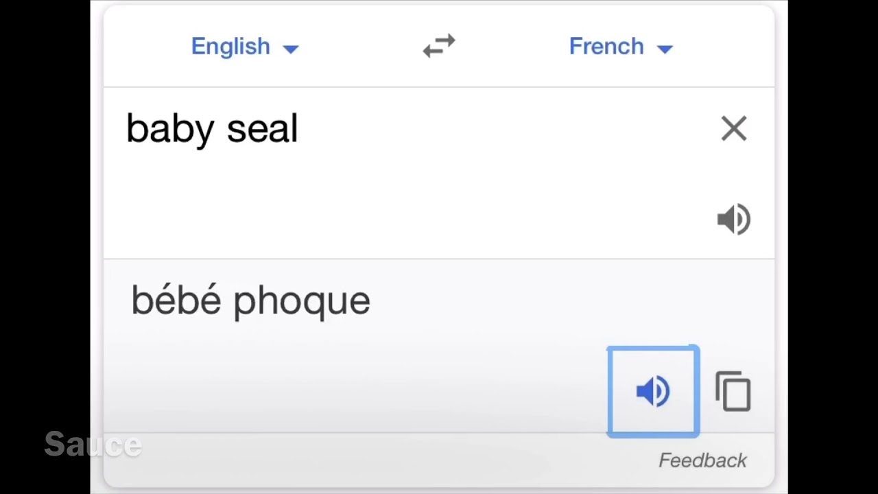 French Google Translate Meme