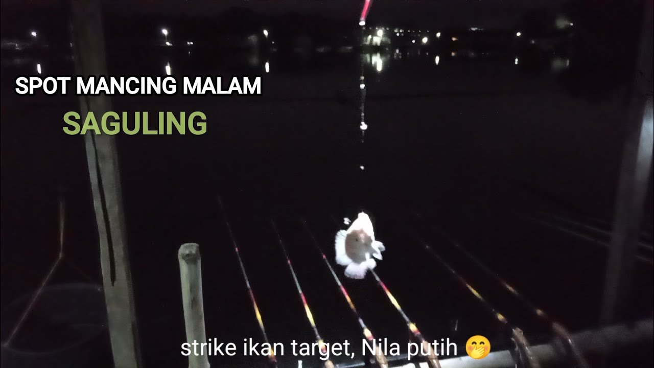 🔘Mancing Terbaru Saguling‼️Spot Mancing Malam Waduk Saguling#mancingnila #mancingsagulingterbaru2026