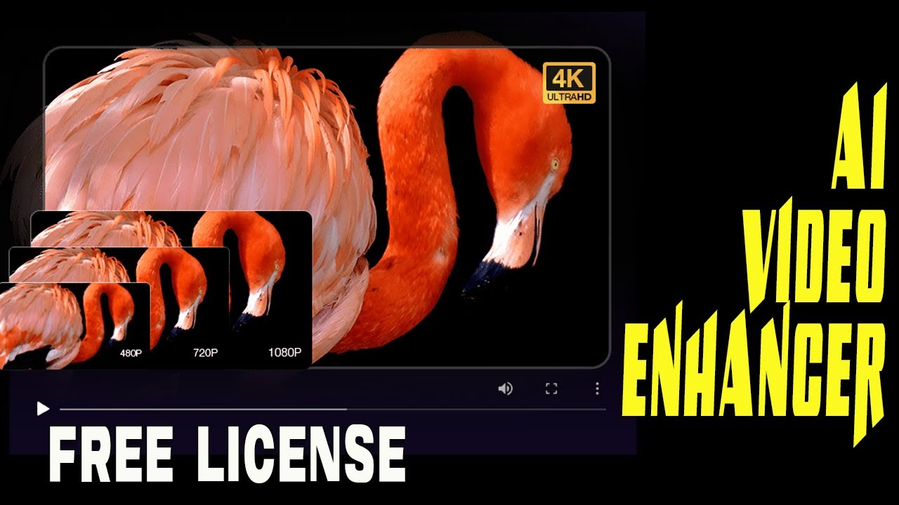 How to Upscale Video Quality with AI | Aiarty Video Enhancer Free License