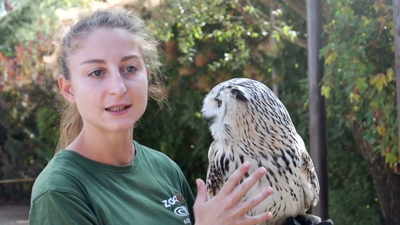 Storie Metropolitane: Bioparco Zoom Torino