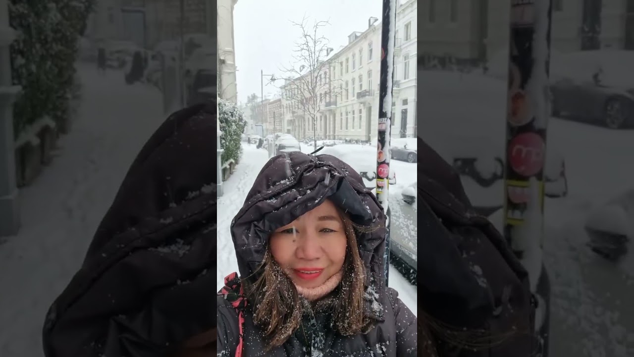 Прогулка по снегу в Досбурге и Арнеме, Нидерланды.