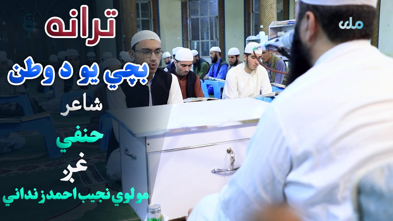 ترانه | بچي یو د وطن، شاعر: حنفي،غږ: مولوي نجیب احمد زنداني