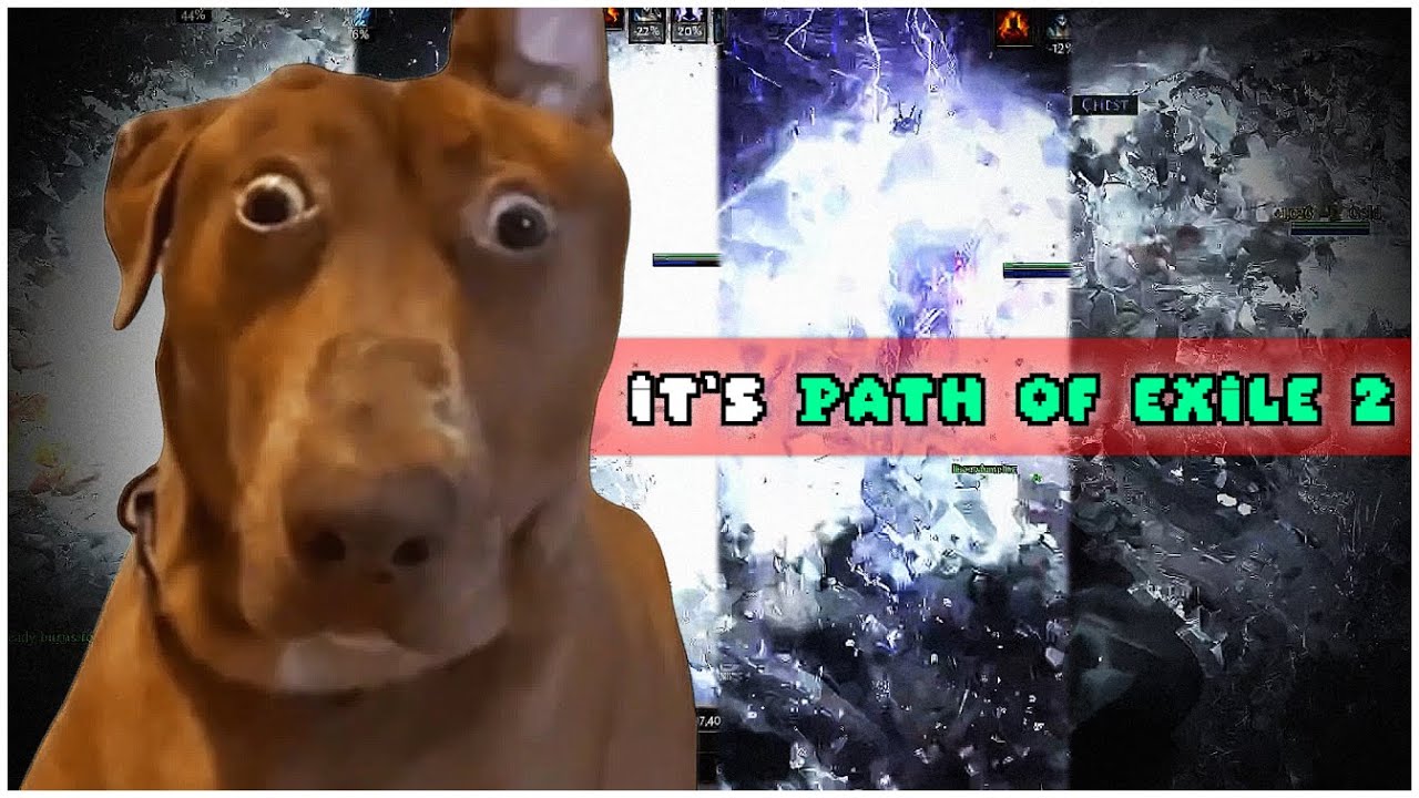 IS IT PATH OF EXILE 1 OR 2? | Path Of Exile 2 Highlights #35