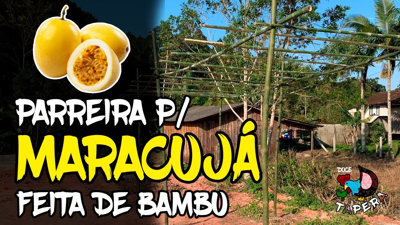 Fizemos um PERGOLADO para plantar MARACUJÁ | Doce Tapera